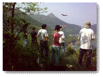 P1.jpg