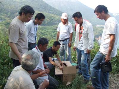 P14.jpg